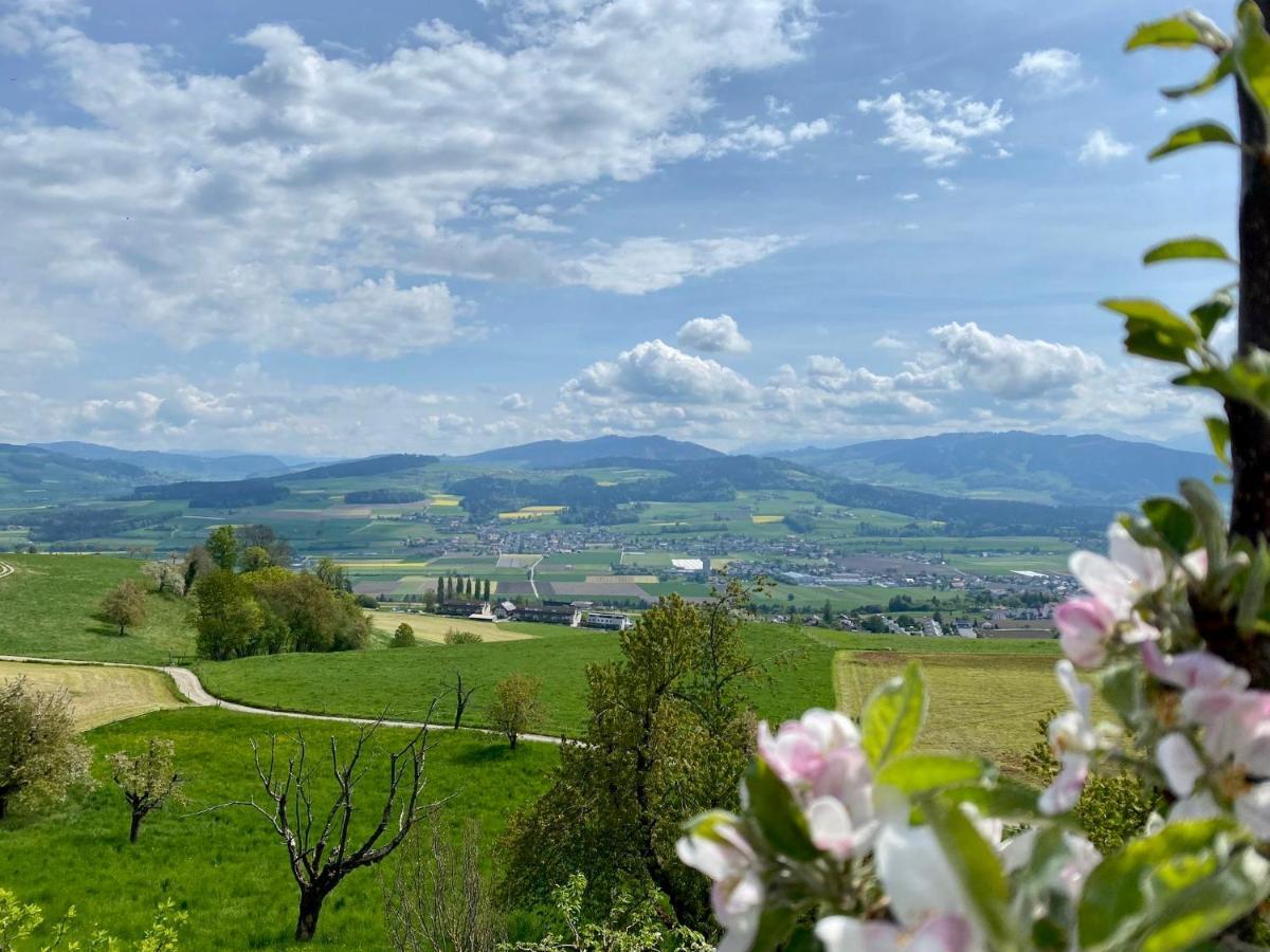 Rosenhuesli Apartment Gerzensee Екстериор снимка