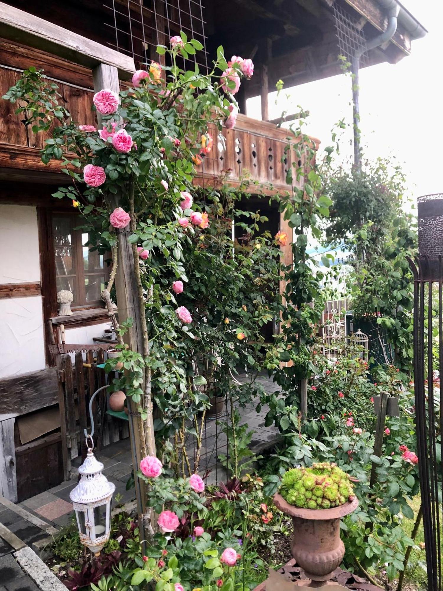 Rosenhuesli Apartment Gerzensee Екстериор снимка